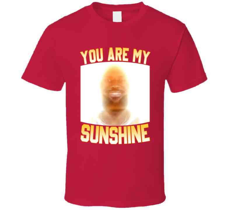 You Are My Sunshine LeBron Funny Basketball Meme T-Shirt