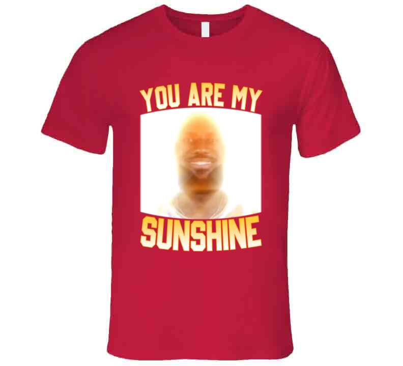 You Are My Sunshine LeBron Funny Basketball Meme T-Shirt